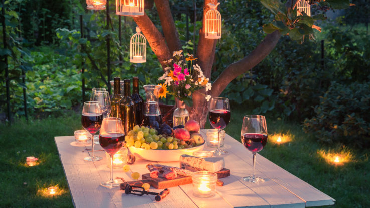 How an Electrician Can Help You Throw the Best Outdoor Parties